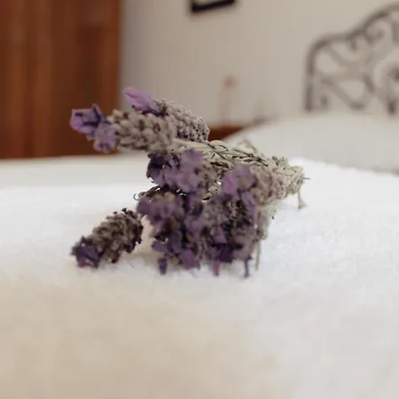 Li Manni 招待所 3*