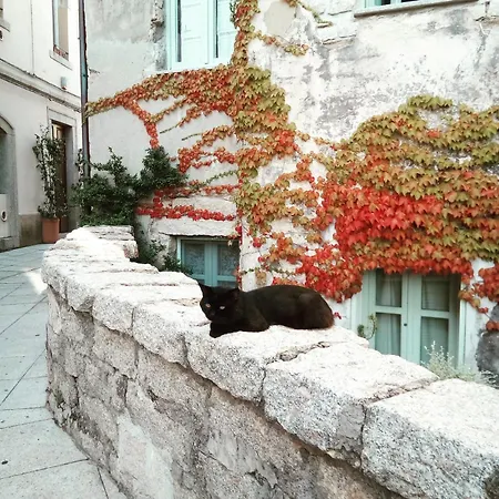 Li Manni 招待所 3*